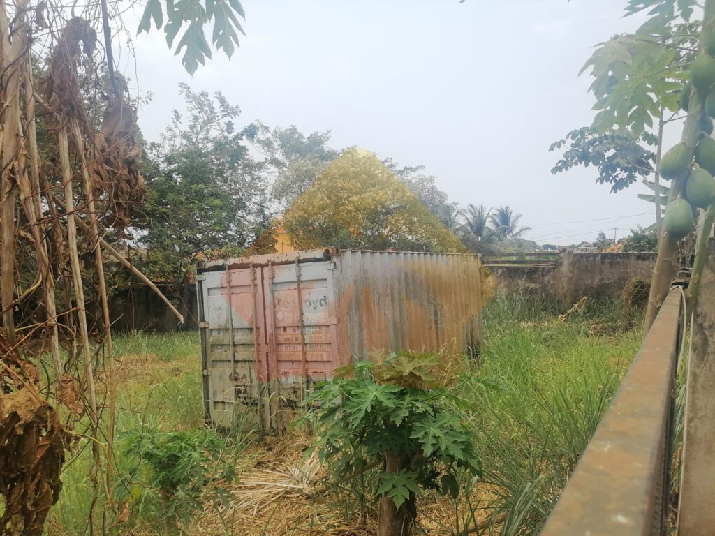 terreno Campo Milho