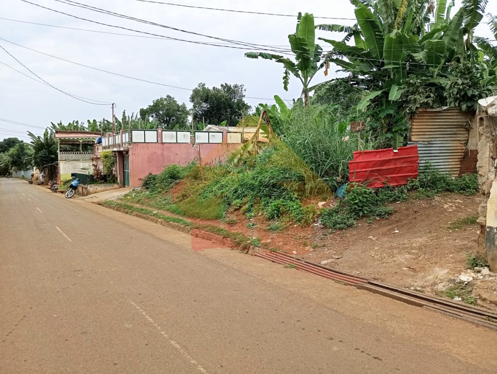 Terreno 4000 m2 * Almas